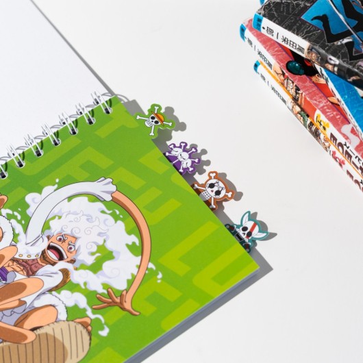 CARNET DE PROJET ONE PIECE