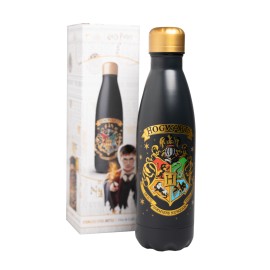 BOUTEILLE MÉTALLIQUE HOT&COLD 500ML HARRY POTTER POUDLARD 2