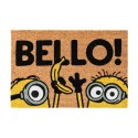 PAILLASSON LES MINIONS