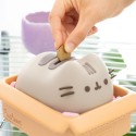 TIRELIRE PUSHEEN