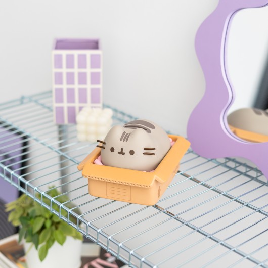 TIRELIRE PUSHEEN