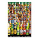 POSTER BIÈRE TO BEER OR NOT TO BEER