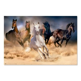 POSTER CINQ CHEVAUX