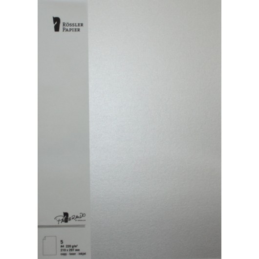 TARJETA A4 PAPERADO 5 UNIDADES PLATA