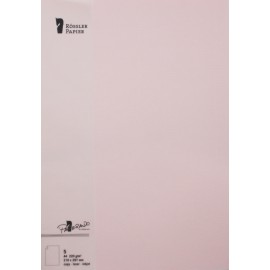 TARJETA A4 PAPERADO 5 UNIDADES ROSA