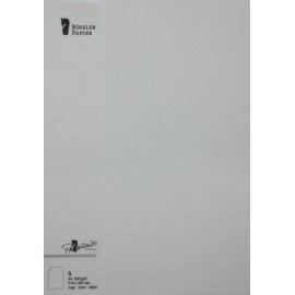 TARJETA A4 PAPERADO 5 UNIDADES GRIS PERLA