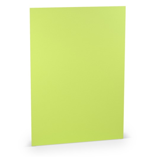 FOLIO A4 PAPERADO 10 UNIDADES VERDE LIMA