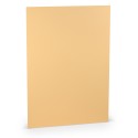 FOLIO A4 PAPERADO 10 UNIDADES MELON