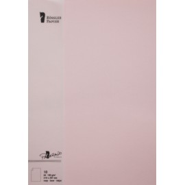 FOLIO A4 PAPERADO 10 UNIDADES ROSA