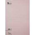 FOLIO A4 PAPERADO 10 UNIDADES ROSA