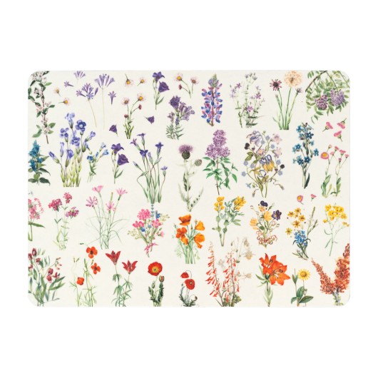 SET 4 SALVAMANTELES BOTANICAL WILD FLOWERS KOKONOTE