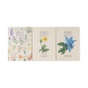 PACK 3 CUADERNOS A6 BOTANICAL WILD FLOWERS KOKONOTE