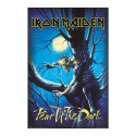POSTER IRON MAIDEN FEAR OF THE DARK