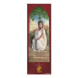 DOOR POSTER HARRY POTTER GRYFFINDOR PASSWORD