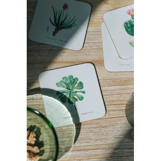 SET 4 SOTTOBICCHIERI BOTANICAL CACTI