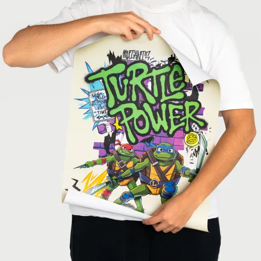 SET MINIPOSTER TARTARUGHE NINJA