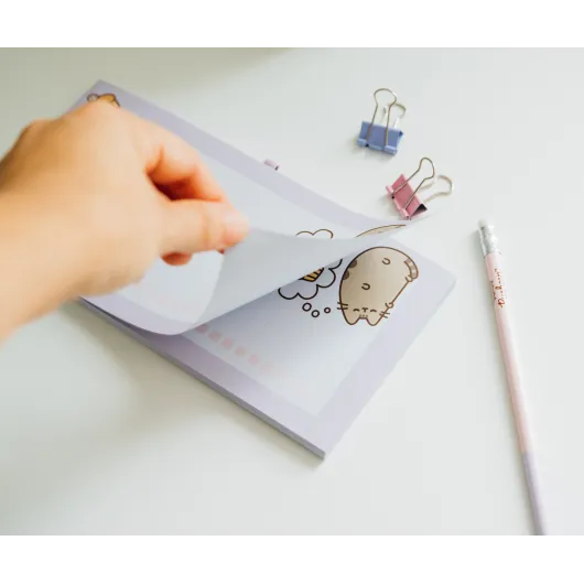 BLOCK NOTES MAGNETICO PUSHEEN MOMENTS