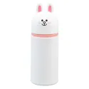 ASTUCCIO 3D LINE FRIENDS CONY
