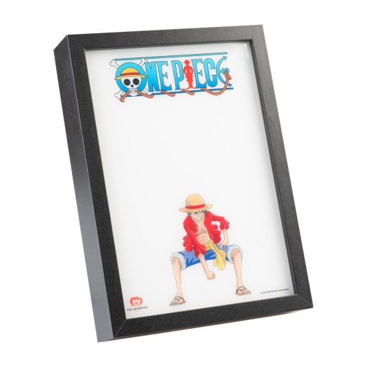 STAMPA RETROILLUMINATA INCORNICIATA ONE PIECE