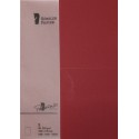 CARTONCINO A6 PAPERADO 5 PEZZI BORDEAUX