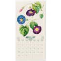 CALENDAR 2027 30X30 BOTANY FLOWERS USA