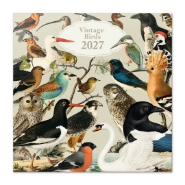 CALENDAR 2027 30X30 VINTAGE BIRDS USA