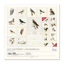 CALENDAR 2027 30X30 VINTAGE BIRDS USA
