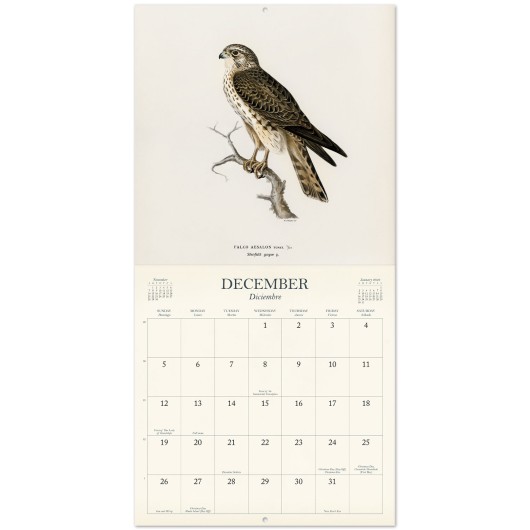 CALENDAR 2027 30X30 VINTAGE BIRDS USA