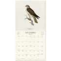 CALENDAR 2027 30X30 VINTAGE BIRDS USA