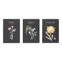 PACK 3 QUADERNI A5 SLEEPLESS GARDEN