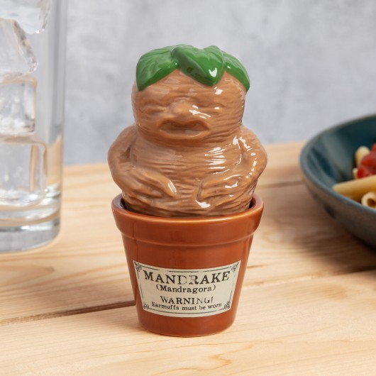 SALIERA E PEPIERA MANDRAGORA CON VASO