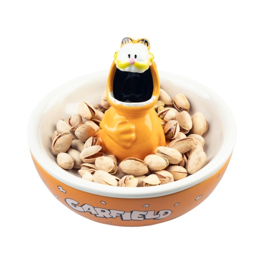 CIOTOLE SNACK GARFIELD
