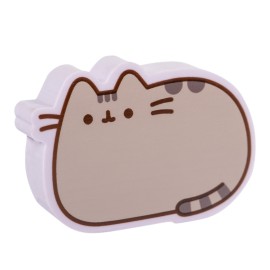 SET DI GOMME PER CANCELLARE JUMBO PUSHEEN MOMENTS 2