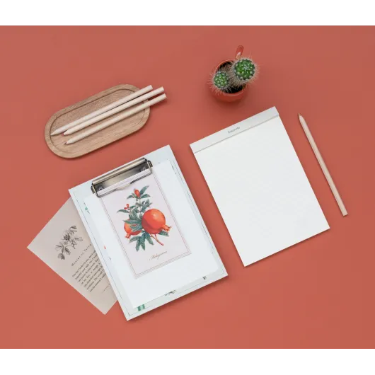 CARPETA A5 CON PINZA BOTANICAL CACTI KOKONOTE