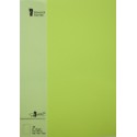 FOLIO A4 PAPERADO 10 UNIDADES VERDE LIMA