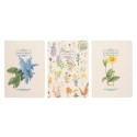 PACK 3 CADERNOS A6  WILD FLOWERS