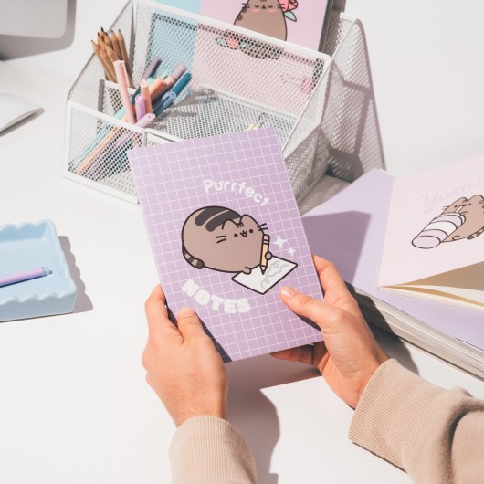 PACK 3 CADERNOS A5 PUSHEEN MOMENTS