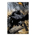 POSTER DC COMICS BATMAN GARGOLA
