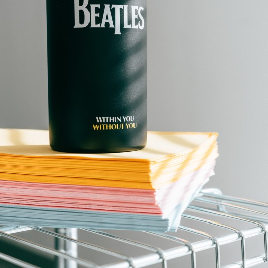 GARRAFA METALICA HOT&COLD 550ML THE BEATLES