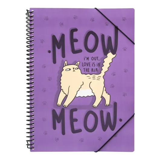 PASTA DE MICAS MEOW MEOW WEIRD CATS