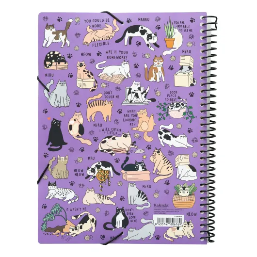 PASTA DE MICAS MEOW MEOW WEIRD CATS