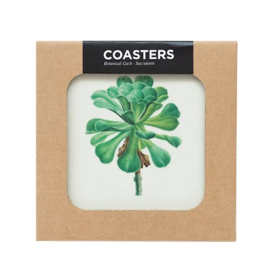 CONJUNTO 4 BASES PARA COPOS BOTANICAL CACTI
