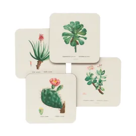 CONJUNTO 4 BASES PARA COPOS BOTANICAL CACTI 2