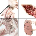 CANDEEIRO STRANGER THINGS - DEMOGORGON
