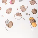 AUTOCOLANTES REUTILIZAVEIS PUSHEEN MOMENTS
