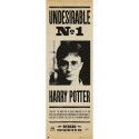 POSTER PORTA HARRY POTTER UNDESIRABLE Nº1
