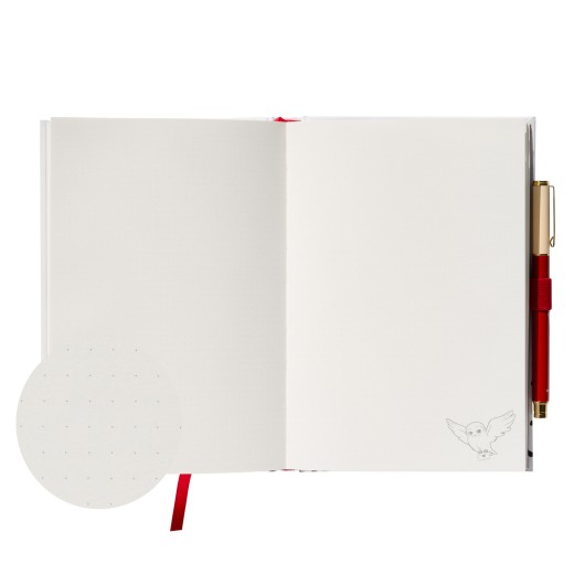 CADERNO PREMIUM A5 COM ESFEROGRÁFICA HARRY POTTER HEDWIG