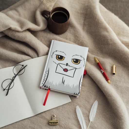 CADERNO PREMIUM A5 COM ESFEROGRÁFICA HARRY POTTER HEDWIG
