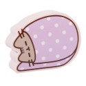 PACK DE BORRACHAS JUMBO PUSHEEN MOMENTS