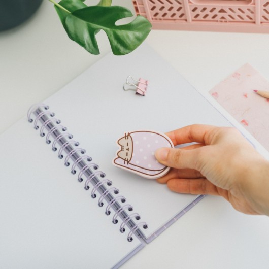 PACK DE BORRACHAS JUMBO PUSHEEN MOMENTS